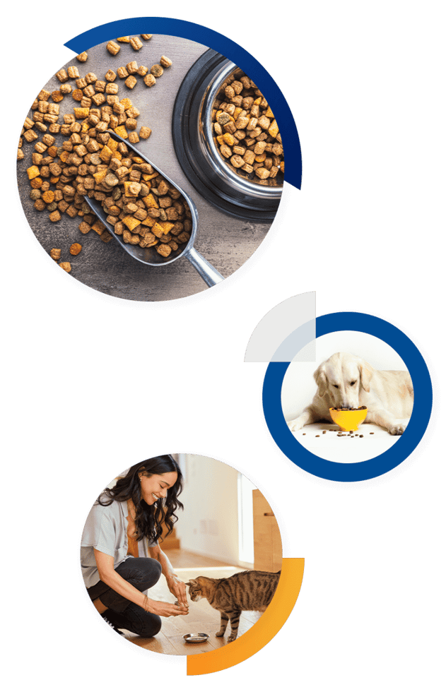 Feed Image Feed Image